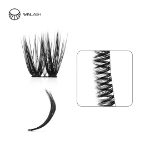 cluster lashes-Winlash
