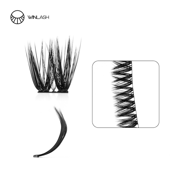 cluster lashes-Winlash