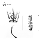 cluster lashes-Winlash