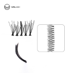 cluster lashes-Winlash