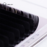 Eyelash Extension Palette Winlash Pink Model