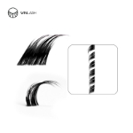 cluster lashes-Winlash