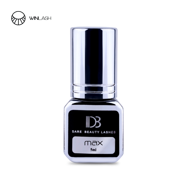 DB MAX  glue-Winlash