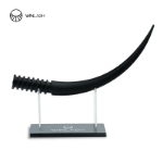 single lash display model