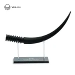 Picture of ssingle lash display model