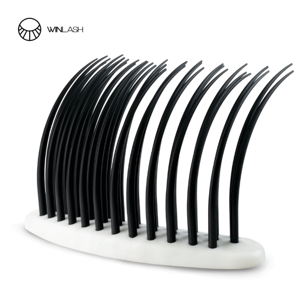 Training lash display model-Winlash