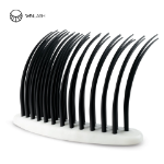 Training lash display model-Winlash