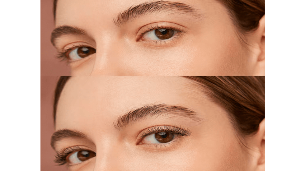 Eyelash Tint and Eyebrow Tint | winlash