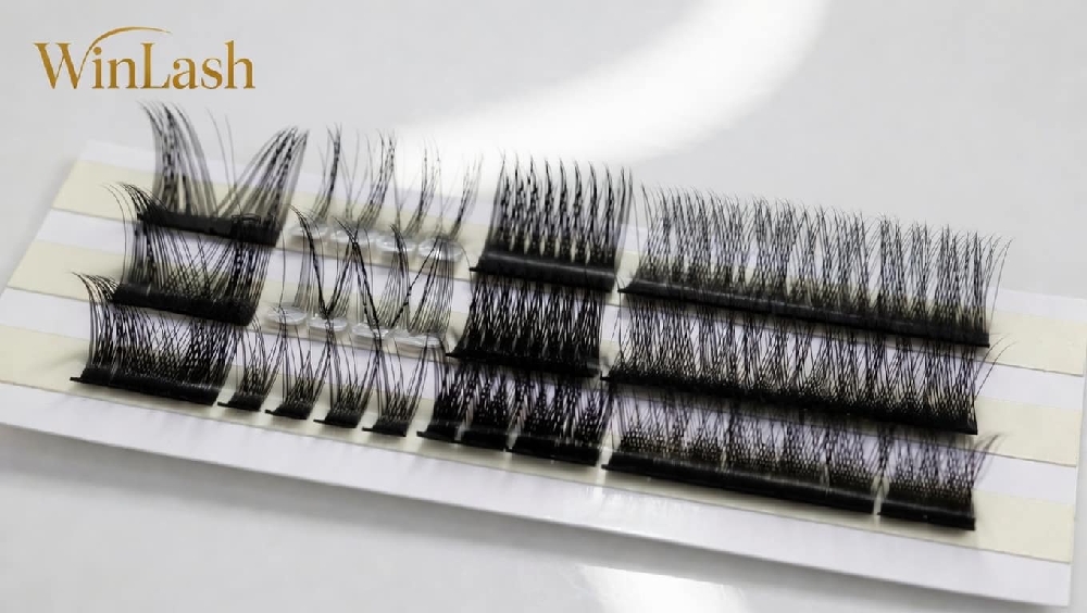 WinLash-Cluster-Lashes-Volume-Strip-Tray-Leo-King-Knot-Fisher-Foxy-Styles-Dubai-UAE-Express-Salon-Supplies
