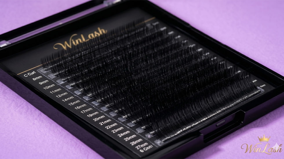 WinLash Glossy Silk Lashes - High-Shine Volume Palette UAE WinLash-Glossy-Black-Silk-Lash-Extensions-20-Rows-Wet-Look-Mascara-Effect-Dubai-UAE-Professional-Supplies
