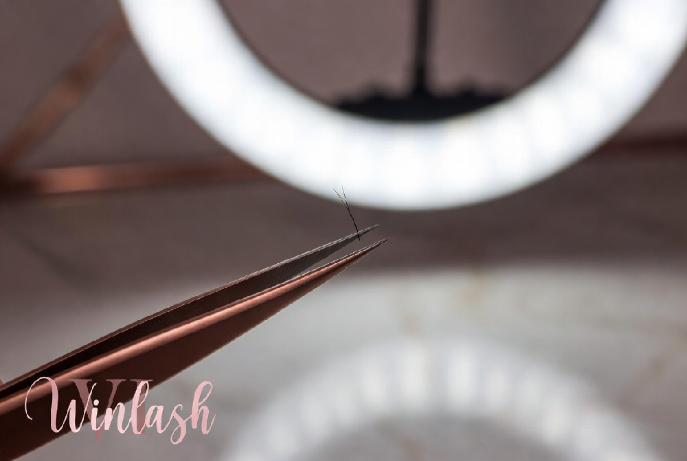Close-up of straight isolation tweezers gripping a single lash with precision | winlash